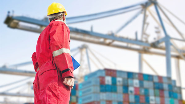 Asesoria en Operaciones Logisiocas.