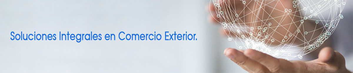 Software de Comercio Exterior